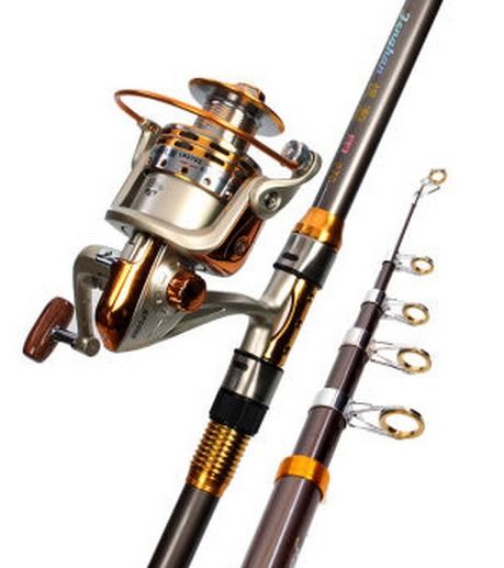 完龙渔具 视觉呈现与店铺装修的艺术